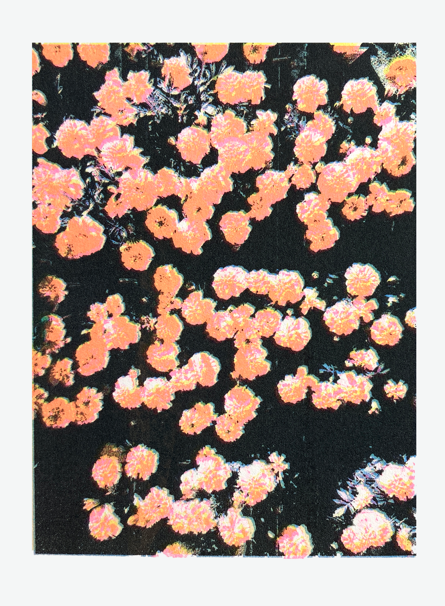 Confetti III - | Screen print | A5 (mounted A4)