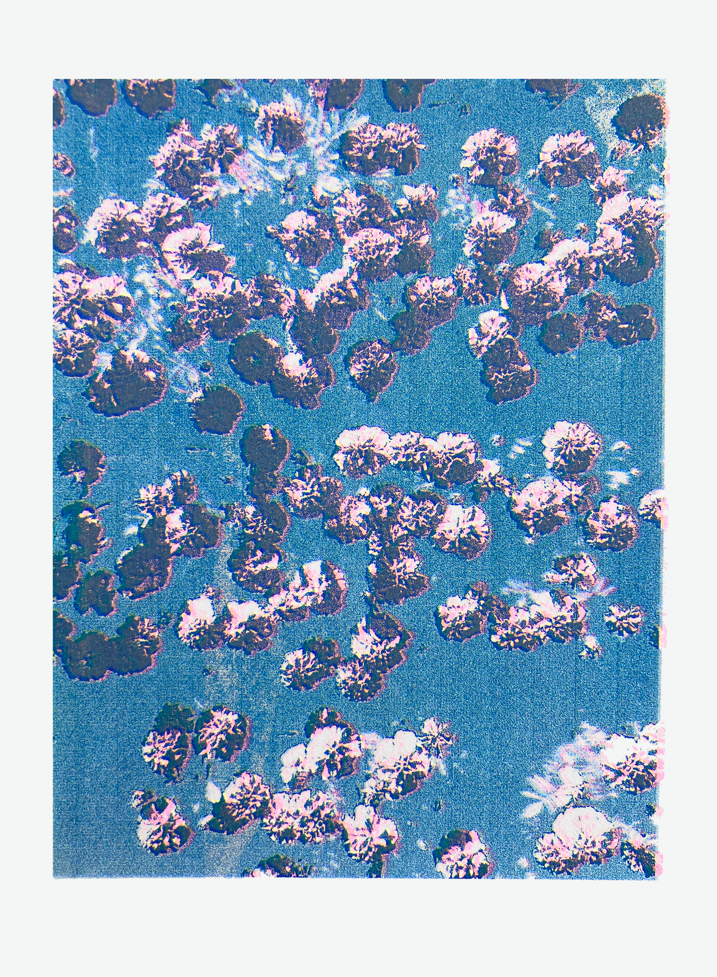 Confetti I | Screen print | A5 (mounted A4)