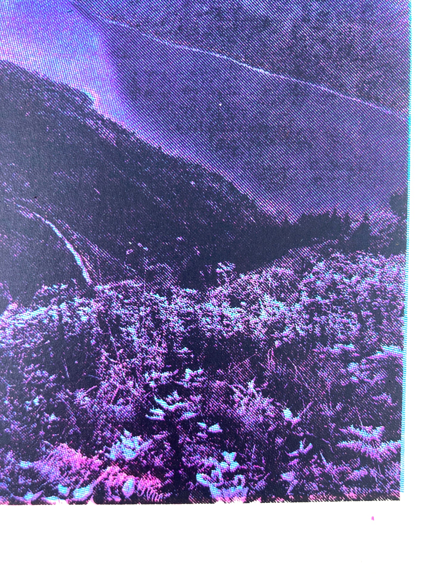 Ha Giang (Vietnam) / Purple I | Screen print | A3 size