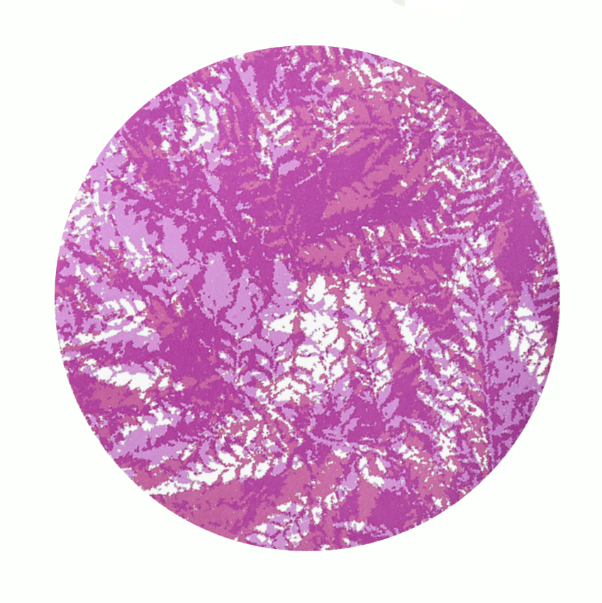 Fougere I | Screen print | 50 x 50 cm