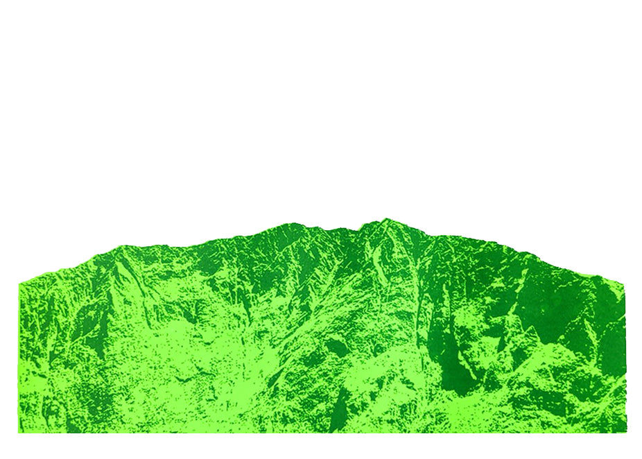 Apus / Green | Screen print | A2 size
