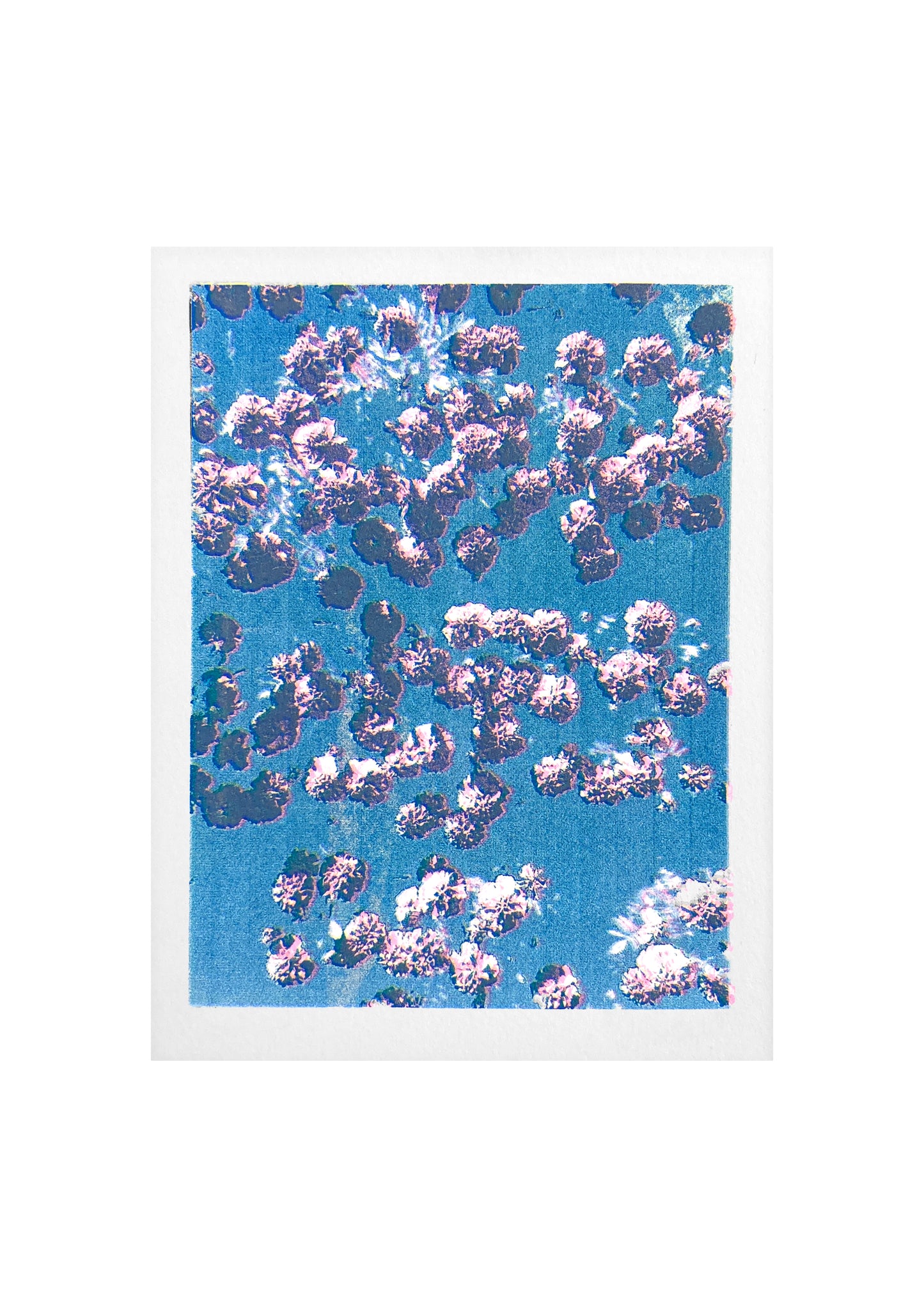 Confetti I | Screen print | A5 (mounted A4)