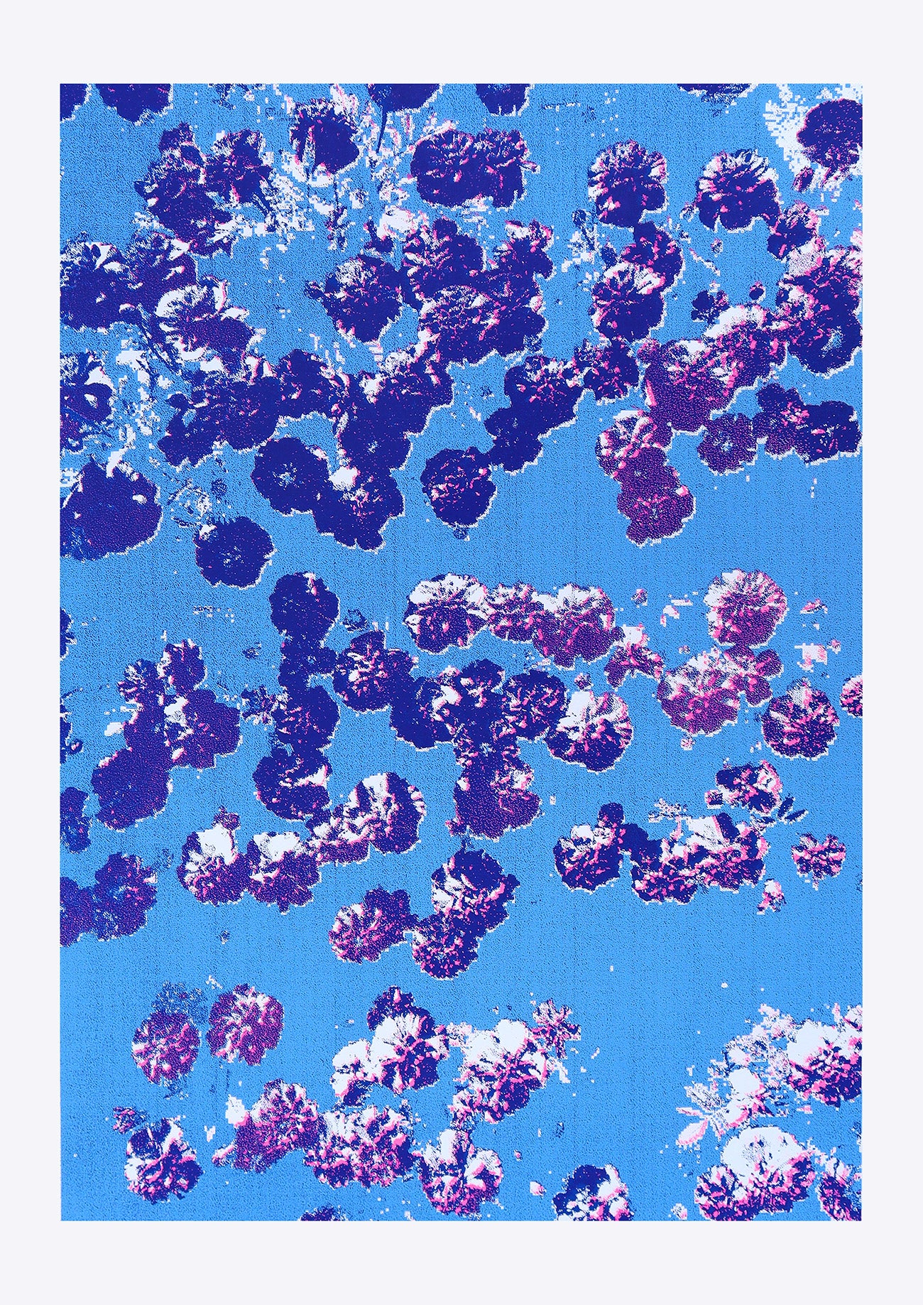 Confetti / Pink | Screen print | A1 size