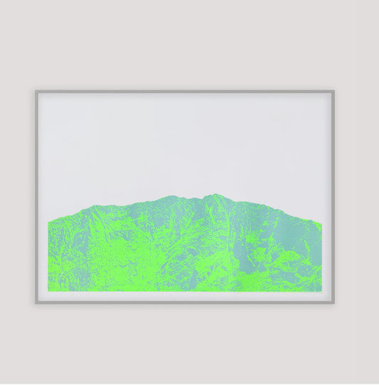 Apus / Green & purple | Screen print | A2 size