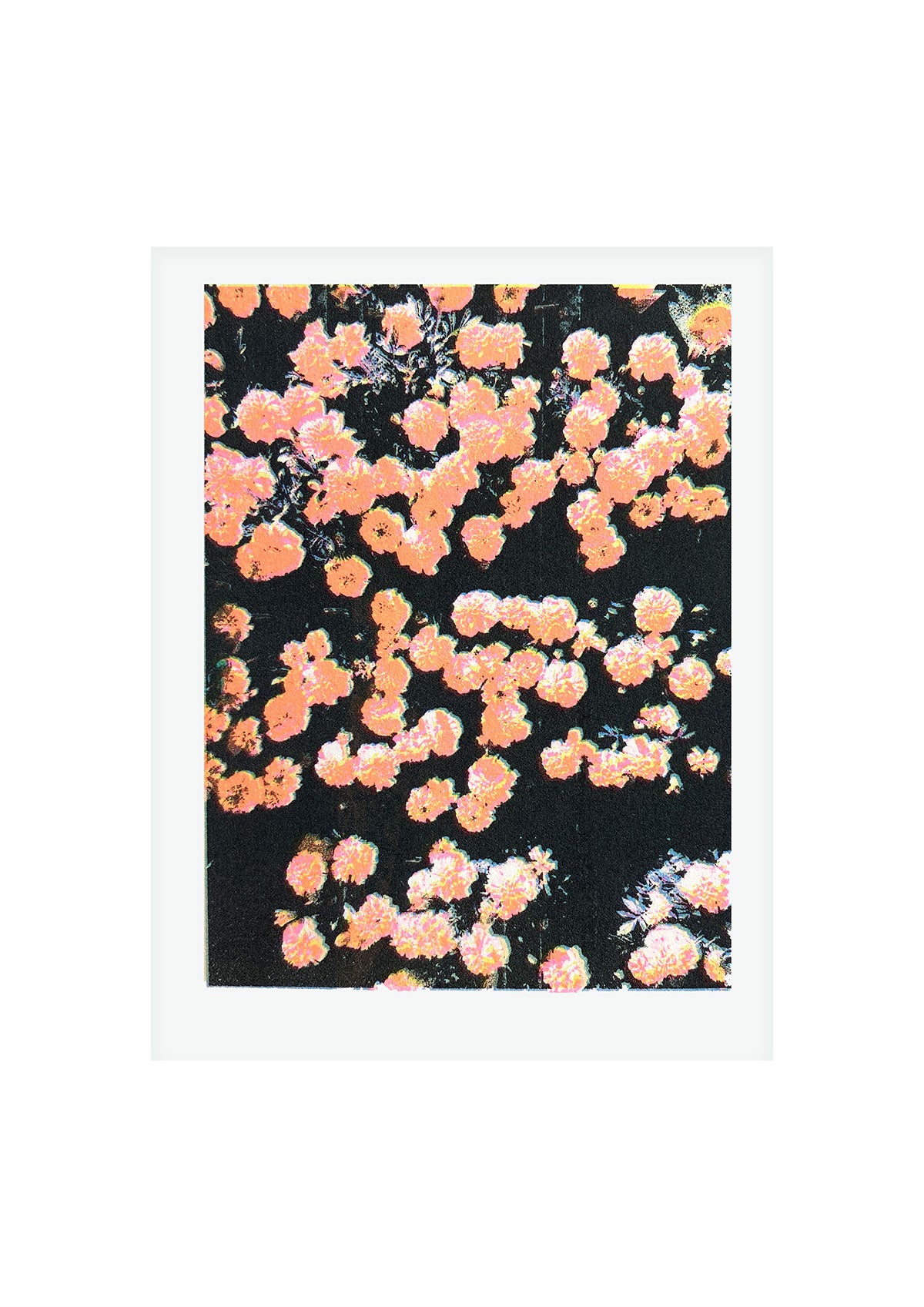 Confetti III  - | Screen print | A5 (mounted A4)