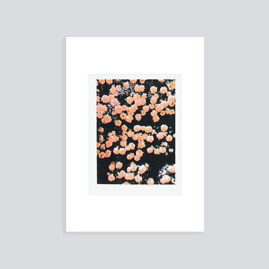 Confetti III  - | Screen print | A5 (mounted A4)