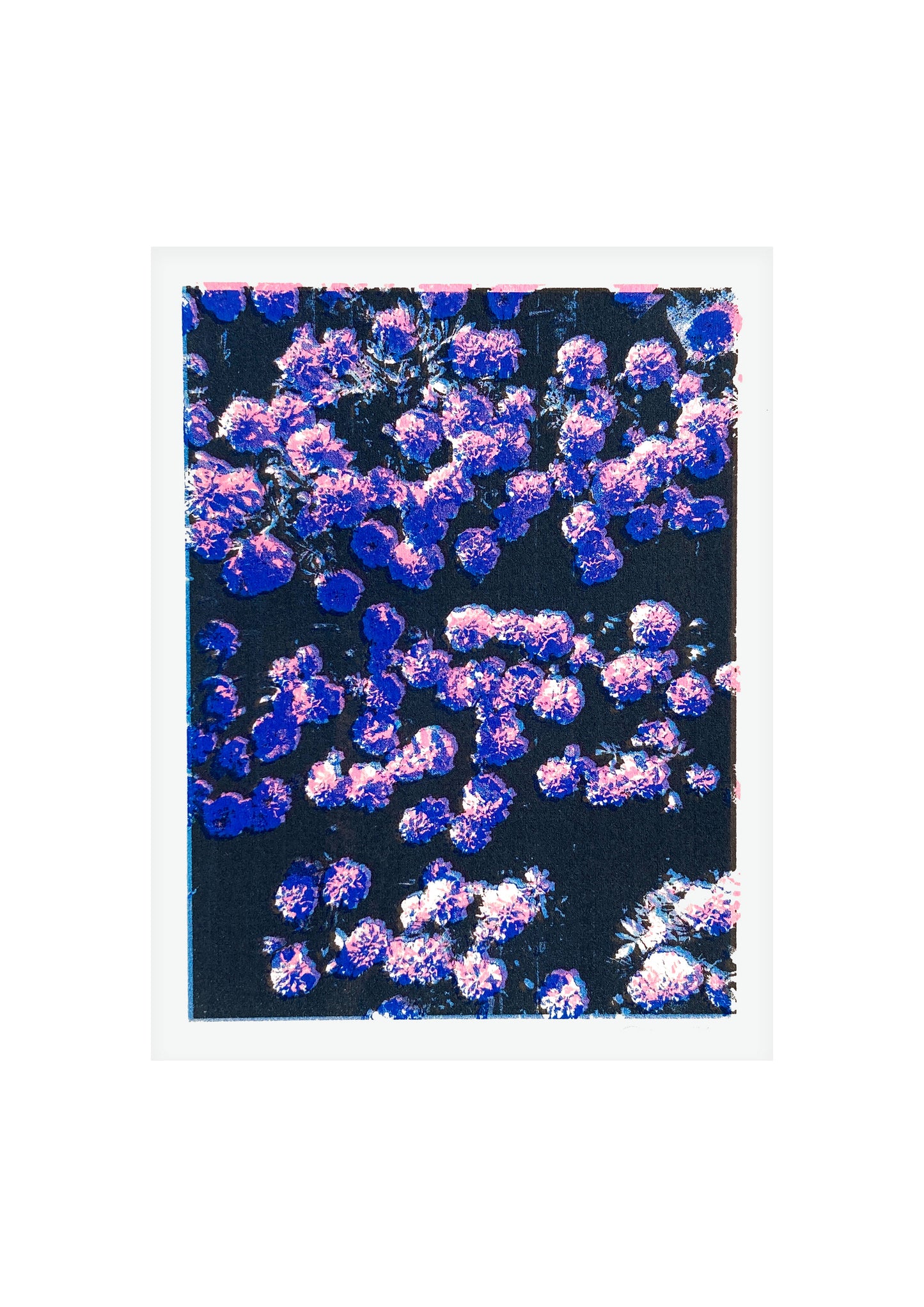 Confetti II  | Screen print | A5 (mounted A4)