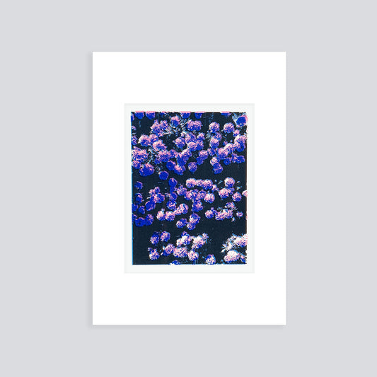 Confetti II  | Screen print | A5 (mounted A4)
