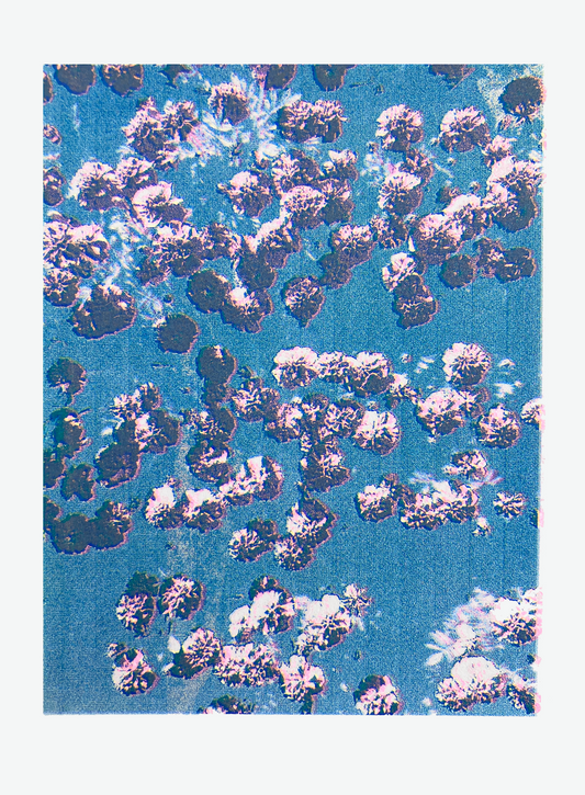 Copy of Confetti I3  - | Screen print | Mini series