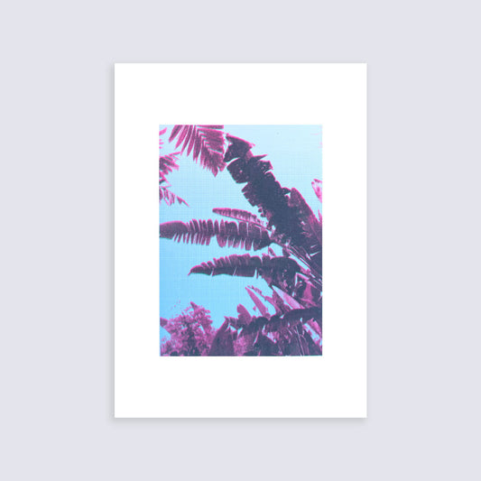Leaves | Screen print | A3 size