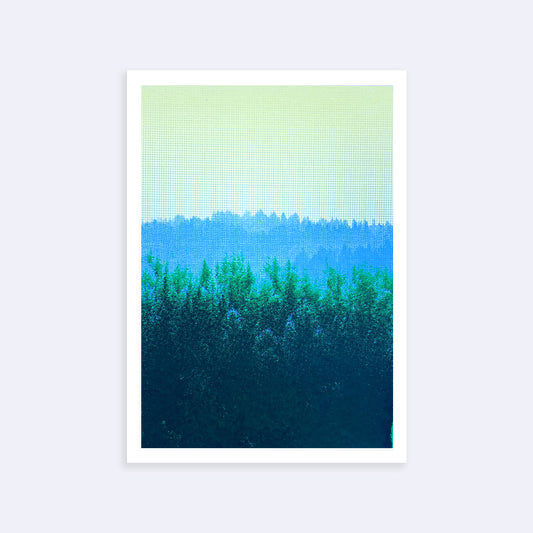 Foret - Blue/Yellow | Screen print | A3 size