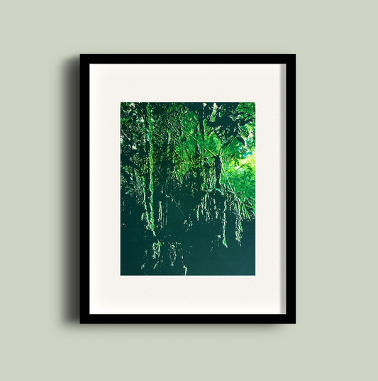 Mindo (Ecuador) I | Screen print | A3 size