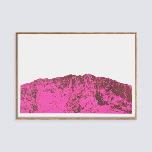 Apus / Pink | Screen print | A2 size