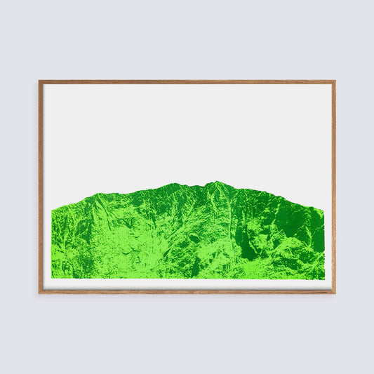 Apus / Green | Screen print | A2 size
