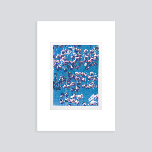 Confetti I | Screen print | A5 (mounted A4)