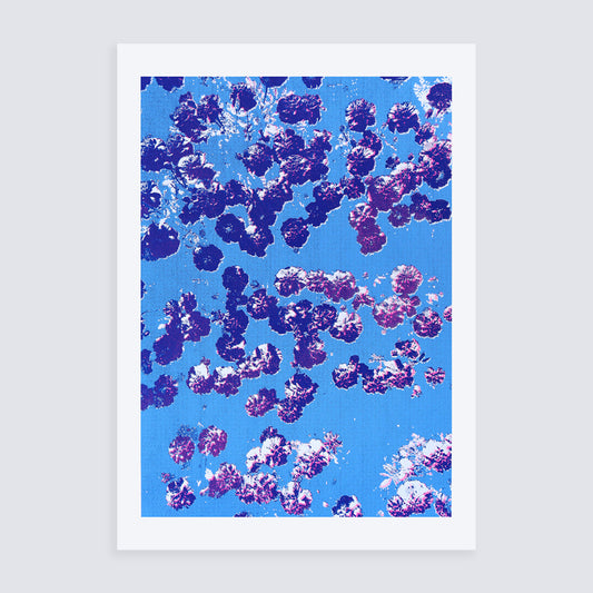 Confetti / Pink | Screen print | A1 size