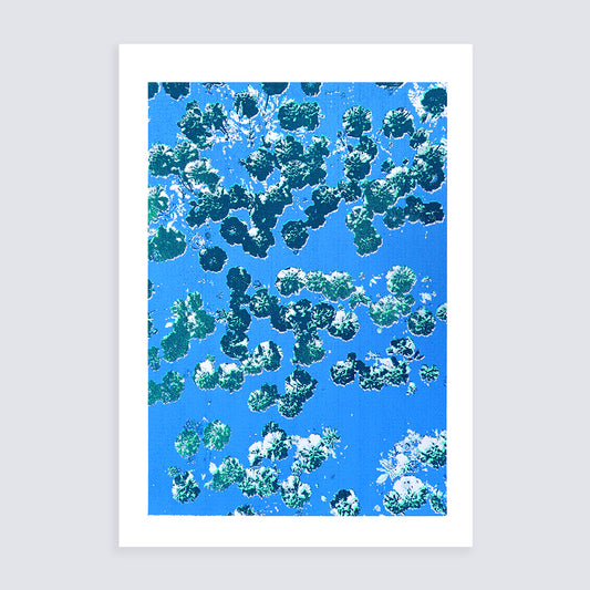 Confetti / Green | Screen print | A1 size